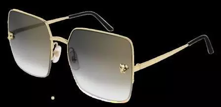 Kính mát Cartier CT0121S 004