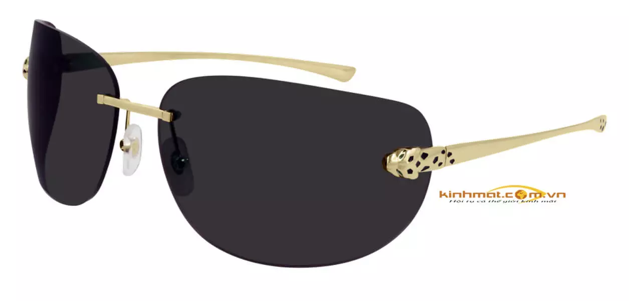 Kính mát Cartier CT0266S 001 đầu báo Kính mát Cartier CT0266S 001 đầu báo
