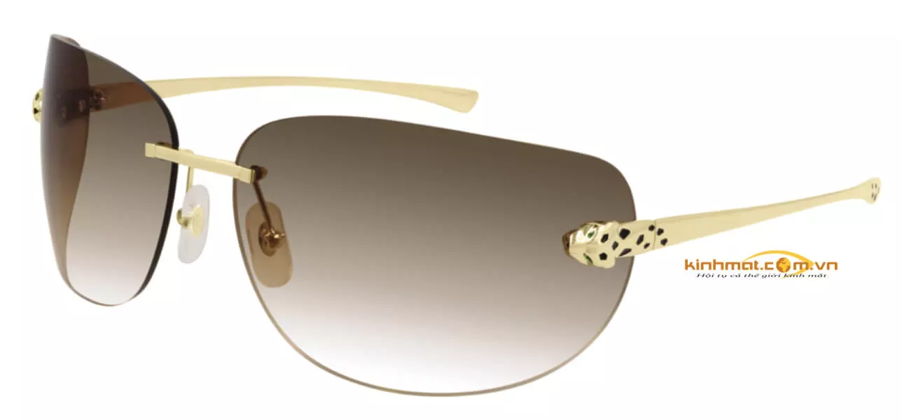 Kính mát Cartier CT0266S 004 đầu báo