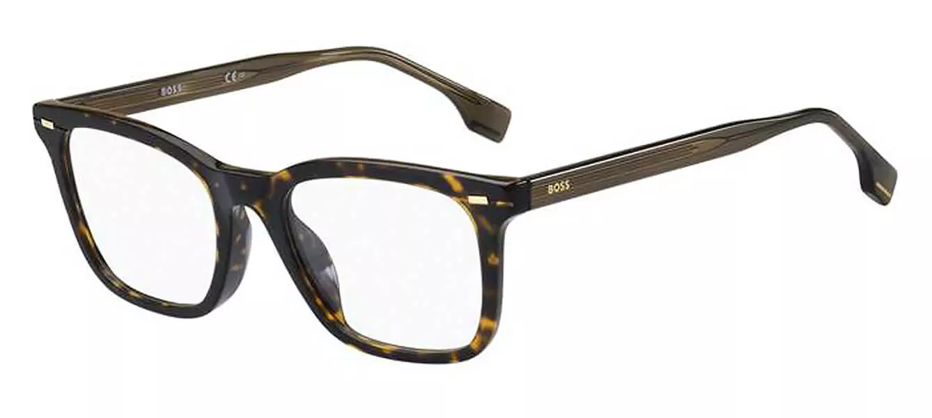 Gọng kính Hugo Boss 1403
