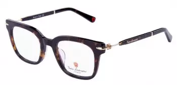 Gong-kinh-Tonino-Lamborghini-TL08853.jpg