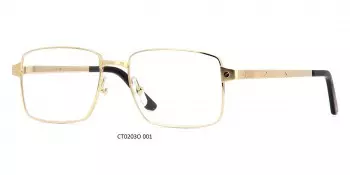 Gong kinh Cartier CT0203O 001