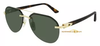 Kính mát Cartier CT0275S 006