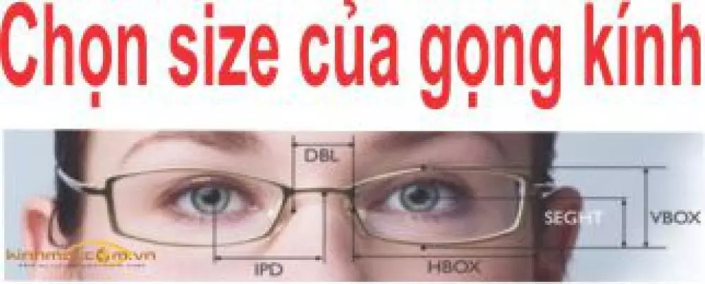 cách chọn size kính mắt