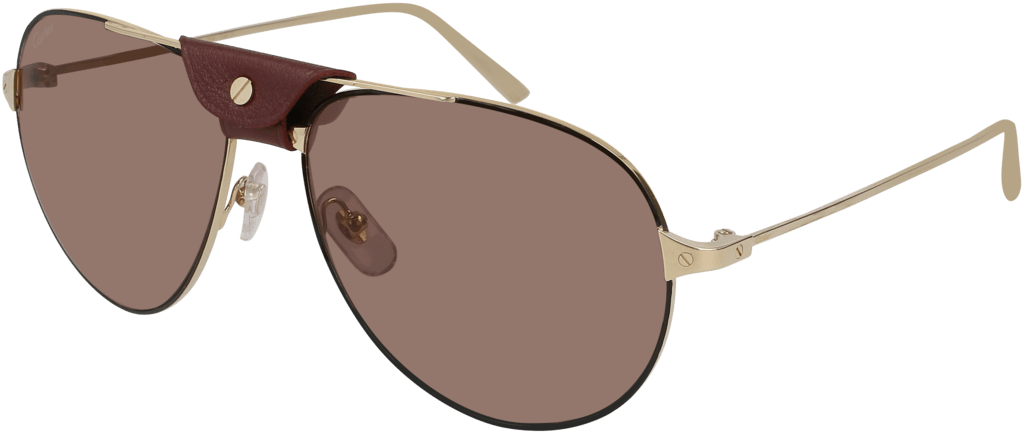 Kính mát Cartier Santos CT0038S 006 Kính mát Cartier Santos CT0038S 006