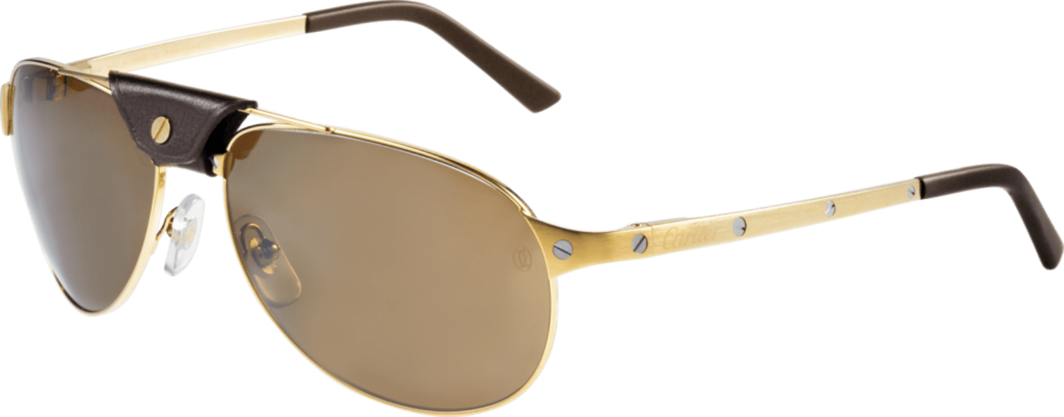 Kính mát Cartier T8200888 Kính mát Cartier T8200888